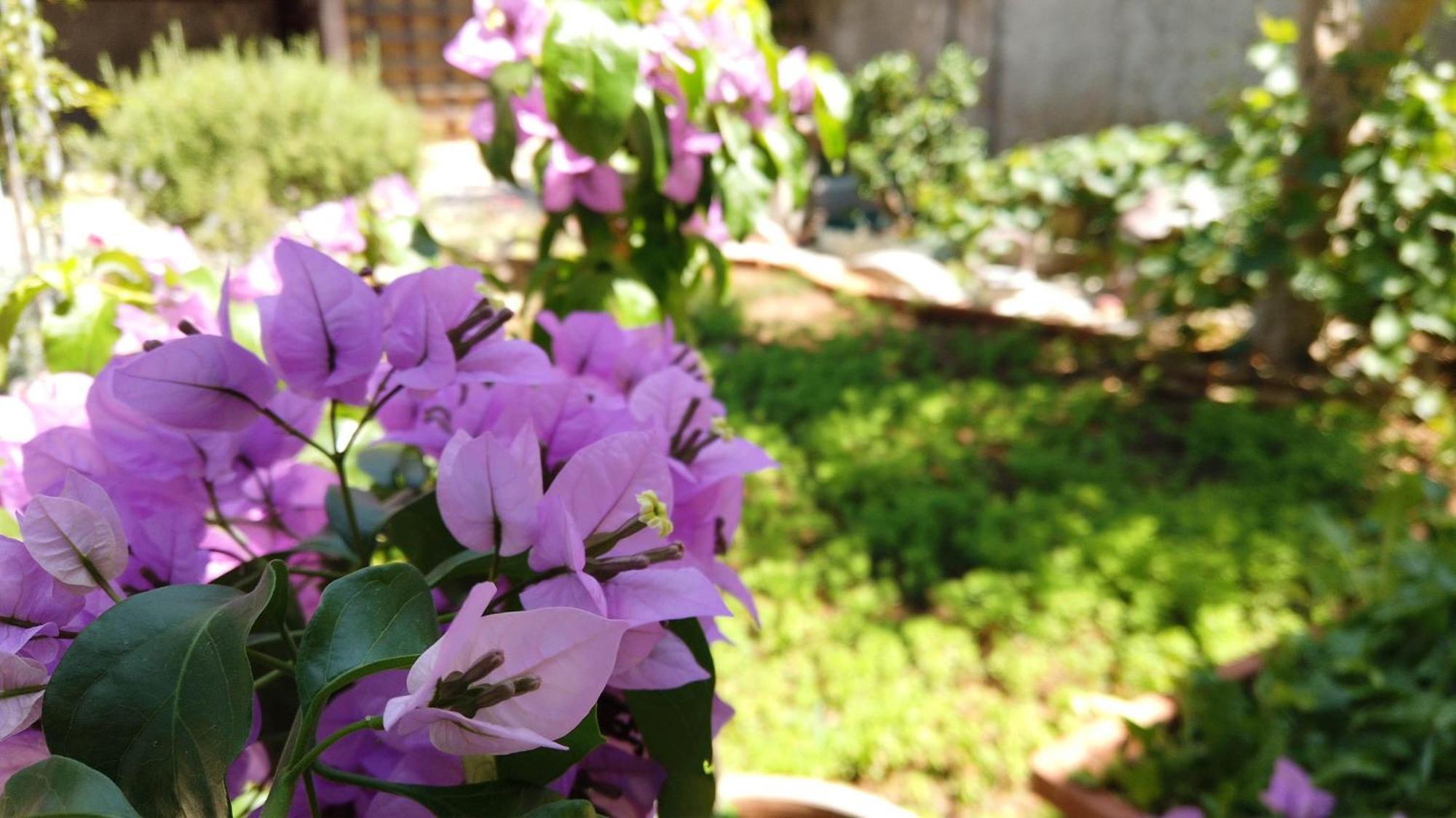 Sibenik City Center Apartment Dış mekan fotoğraf